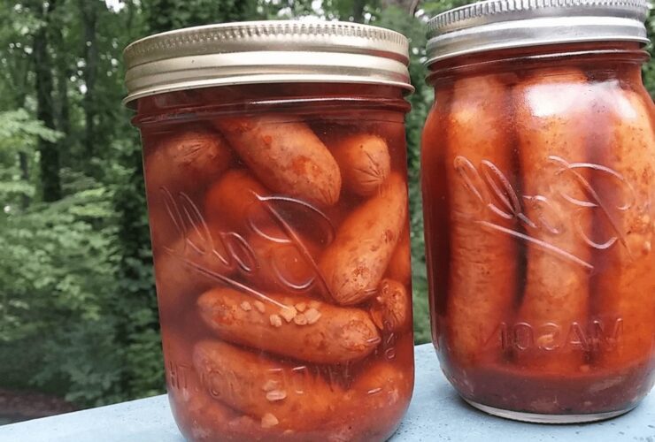 pickled sausage recipe