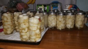 Hawaiian Pickled Onions