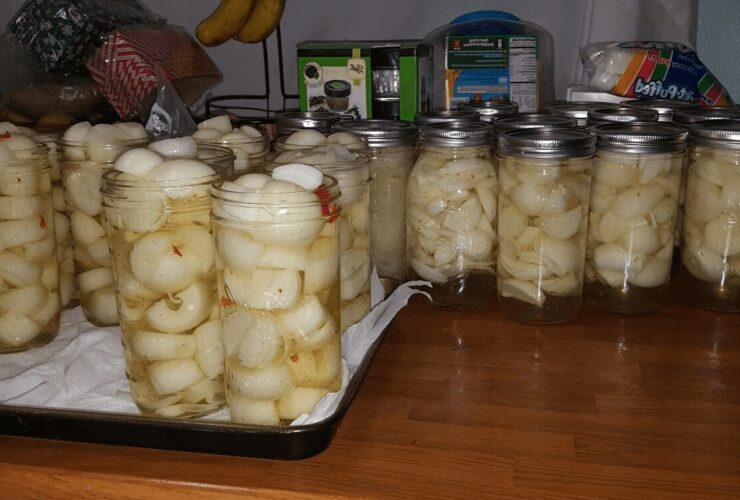 Hawaiian Pickled Onions