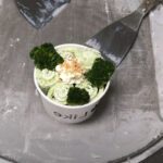 broccoli ice cream recipe