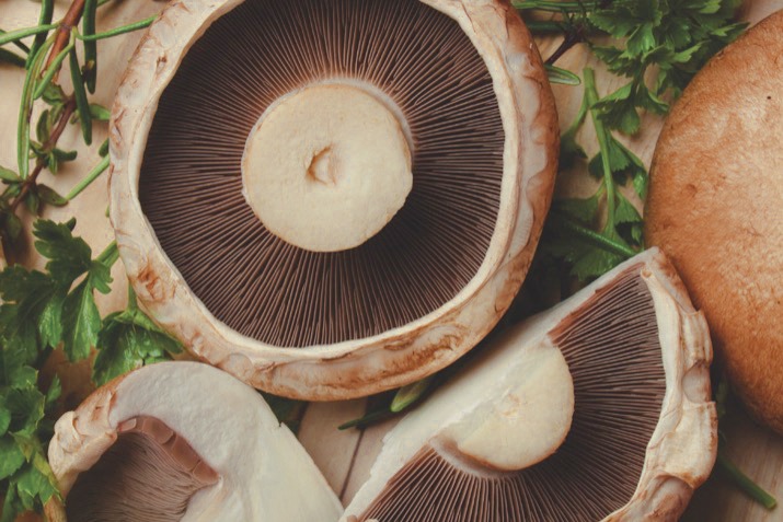 portobello mushroom chicken