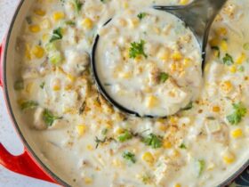 Wawa Chicken Corn Chowder