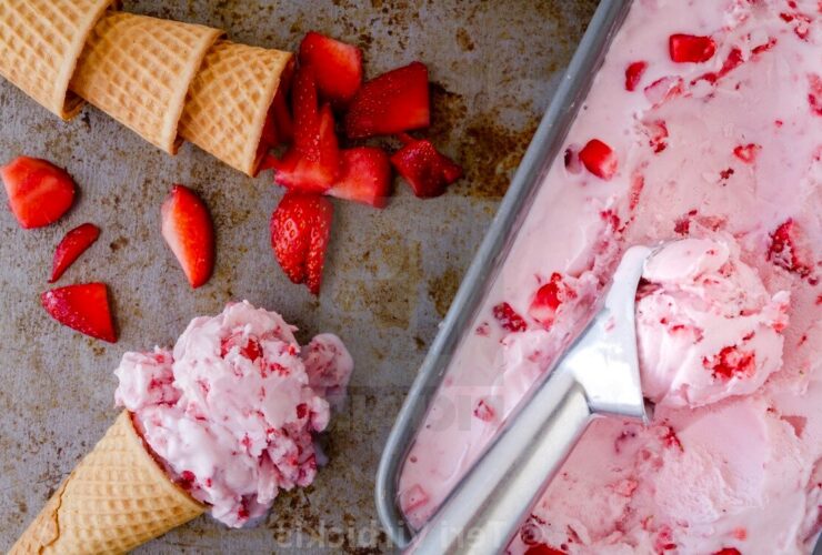 Ninja Blender Ice Cream Recipes