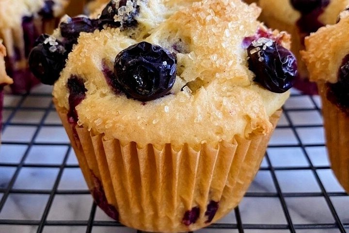 Dunkin Donuts Blueberry Muffins