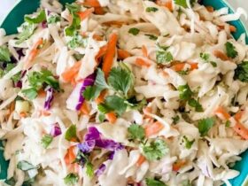 Dole Coleslaw Recipe