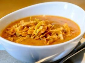 Blendtec Tortilla Soup Recipe