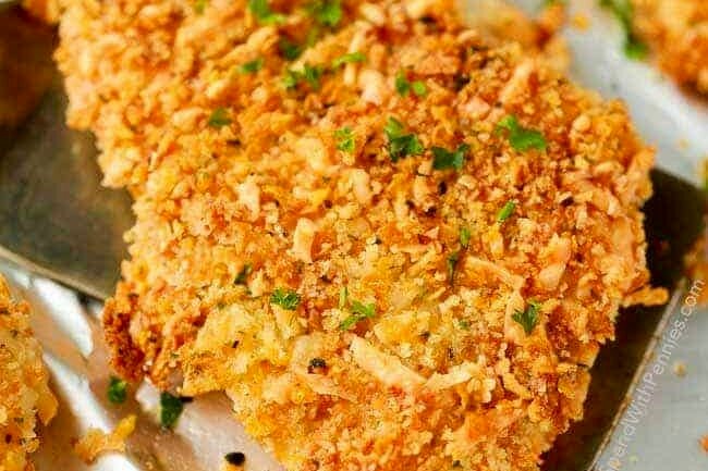 Panko Breaded Chicken Recipe