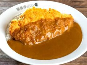 Coco Ichibanya Curry Recipe