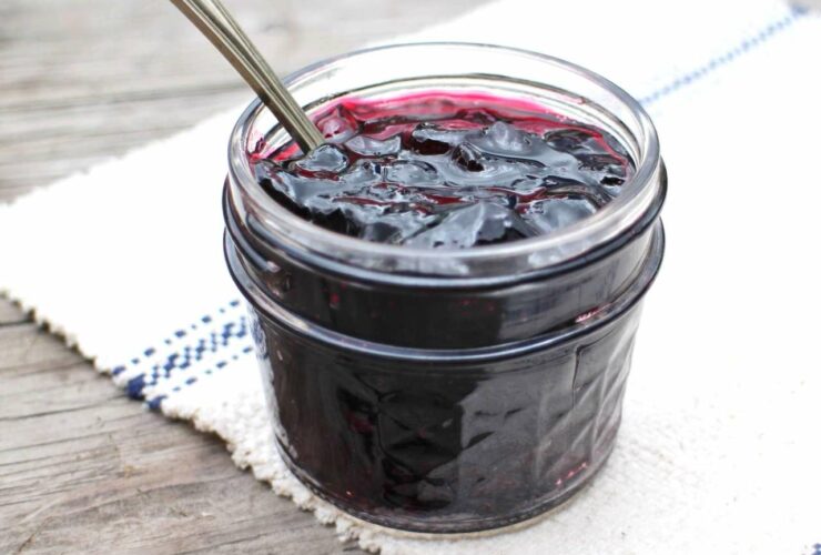 Delia Smith Blackcurrant Jam Recipe