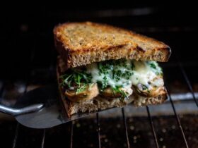 Roasted Mushroom Sandwich Dash Diet