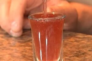 Purple Hooter Shooter Recipe