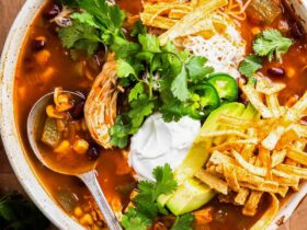 The Ultimate Chicken Tortilla Soup Recipe - Rich, Hearty & Soul-Warming 39 The Ultimate Chicken Tortilla Soup Recipe - Rich, Hearty & Soul-Warming