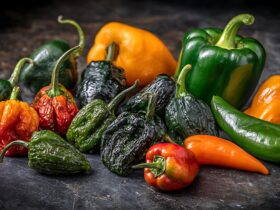 Vibrant red El Patrons Fire Red Salsa in a rustic molcajete with tortilla chips and lime wedges artfully arranged around it