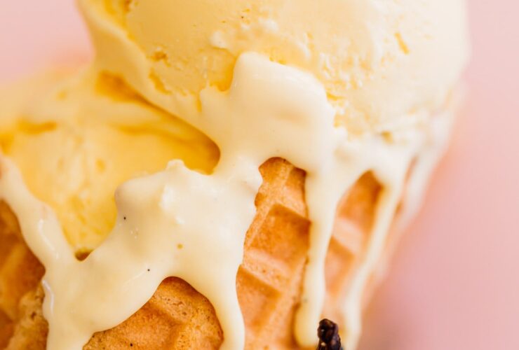 Homemade vanilla ice cream scooped into a white ceramic bowl with a golden waffle cone on the side, fresh vanilla bean pods in the background, warm natural light