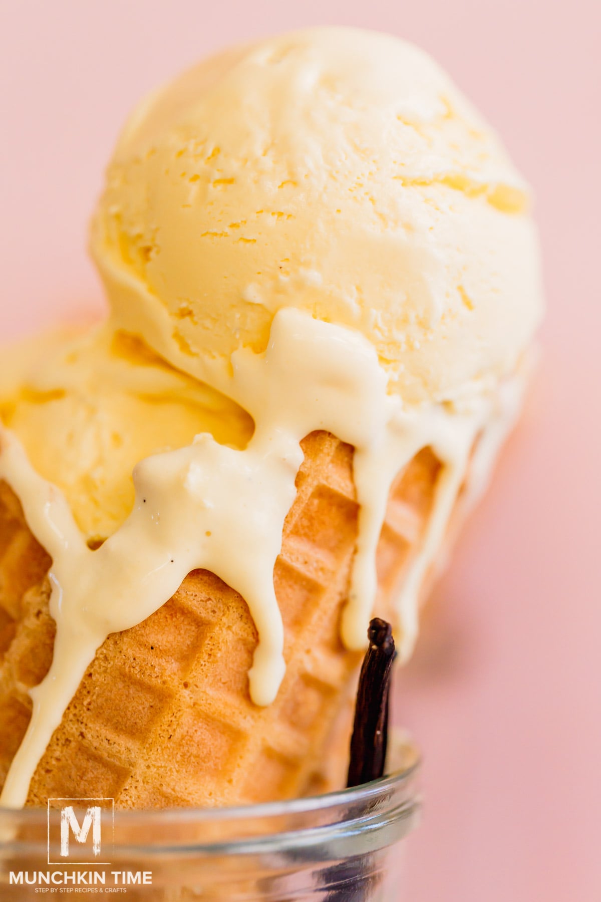 Homemade vanilla ice cream scooped into a white ceramic bowl with a golden waffle cone on the side, fresh vanilla bean pods in the background, warm natural light