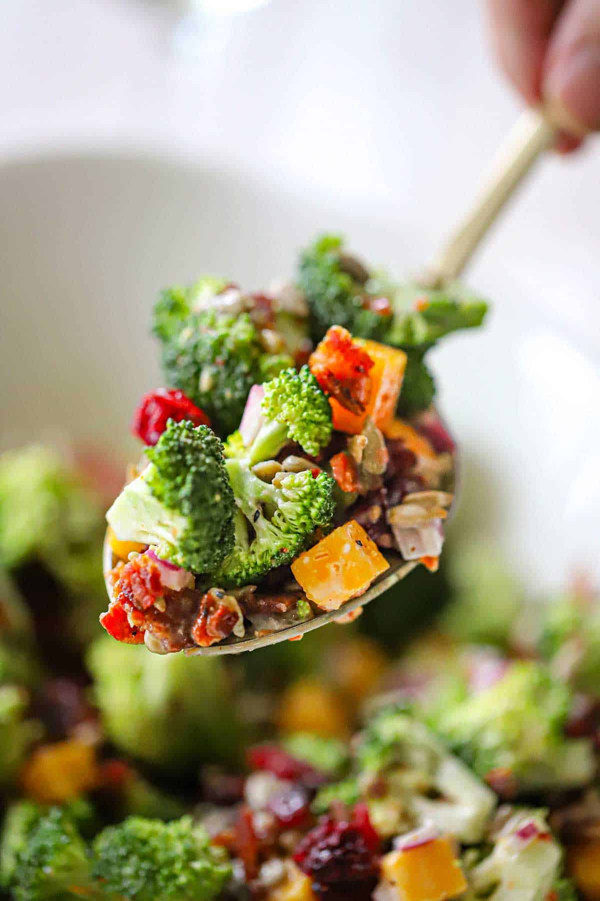 Close-up shot of a serving spoon lifting a generous scoop of broccoli salad from a white bowl, showing the creamy dressing coating the florets with visible bacon bits, cheddar shreds, and sunflower seeds in golden afternoon light