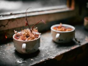 A golden-topped green bean casserole in a white ceramic baking dish, garnished with extra crispy fried onions, shot from a slight angle on a rustic wood Thanksgiving table