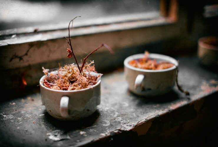 A golden-topped green bean casserole in a white ceramic baking dish, garnished with extra crispy fried onions, shot from a slight angle on a rustic wood Thanksgiving table