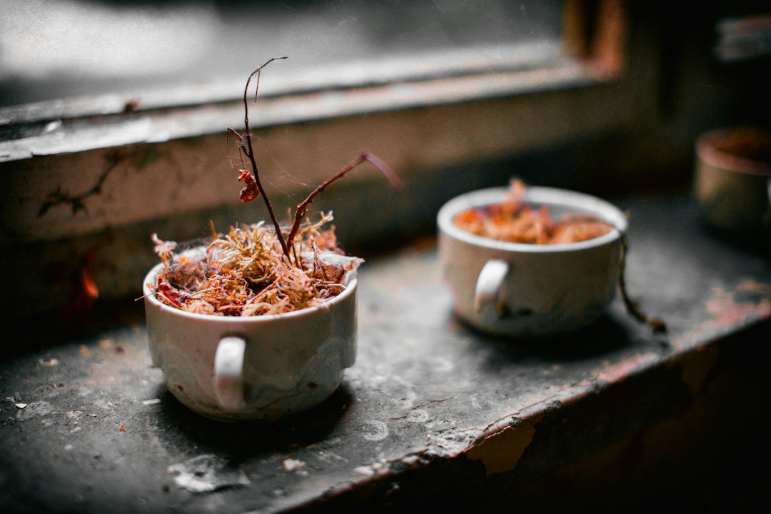 A golden-topped green bean casserole in a white ceramic baking dish, garnished with extra crispy fried onions, shot from a slight angle on a rustic wood Thanksgiving table