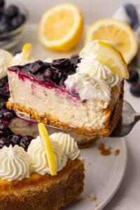 A beautifully plated slice of lemon blueberry cheesecake on a white plate with blueberry sauce drizzled over the top and curled lemon slices as garnish, shot in natural light