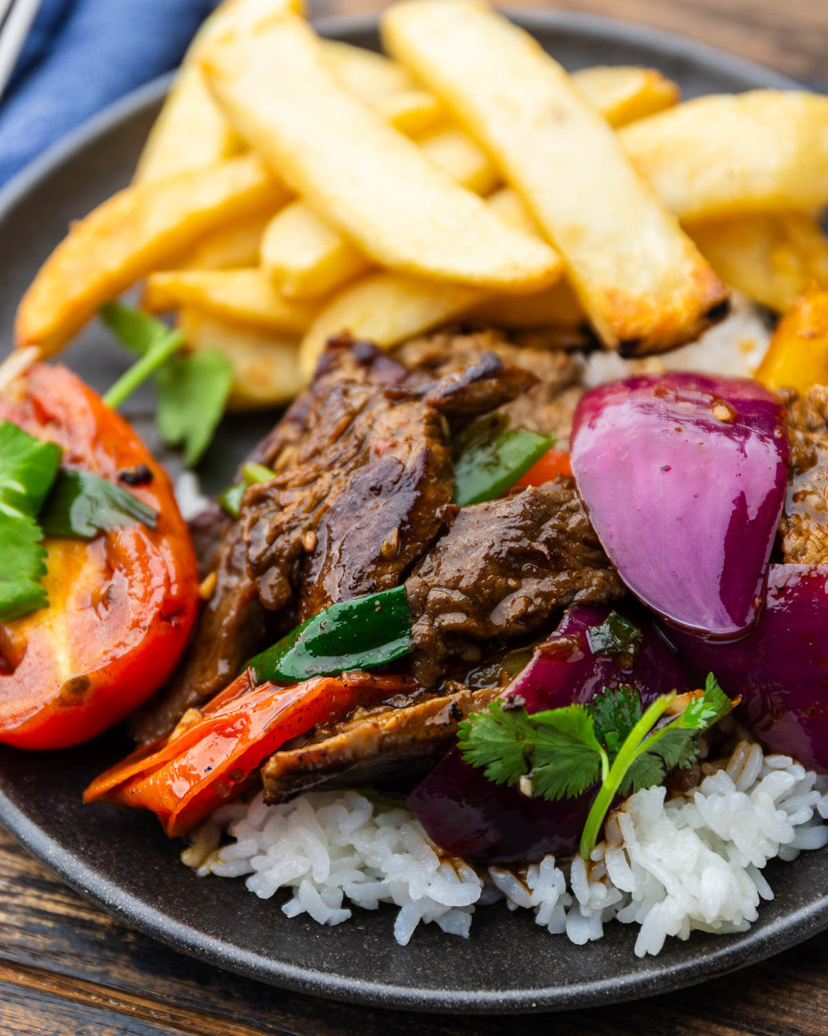 Peruvian Lomo Saltado plated beautifully in a wide bowl with golden french fries, tender beef strips, vibrant tomatoes and red onions, garnished with fresh cilantro