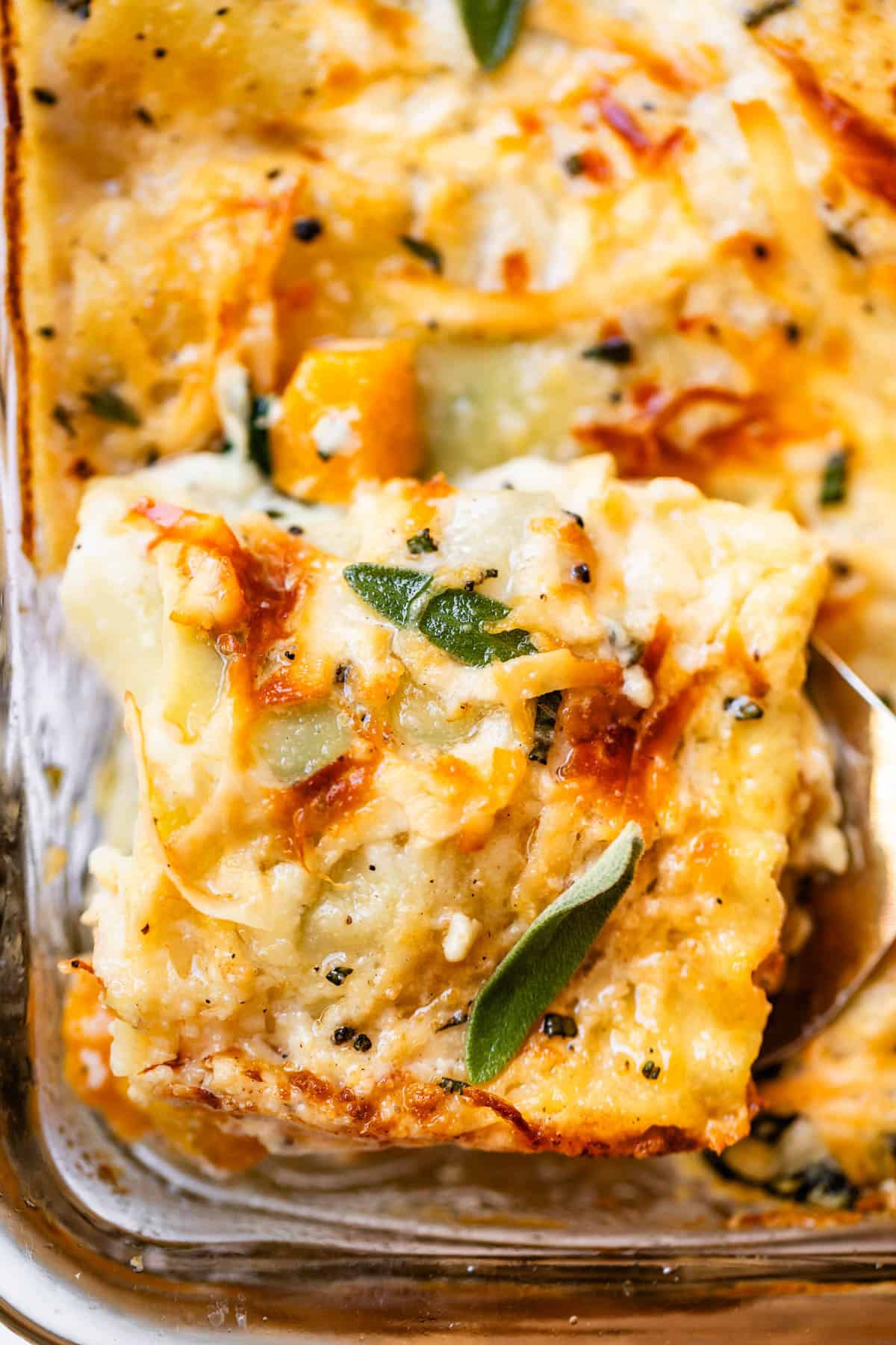 Close-up of a spatula lifting a cheesy, saucy portion of baked ziti from the casserole dish, with melted mozzarella stretching, fresh basil on top