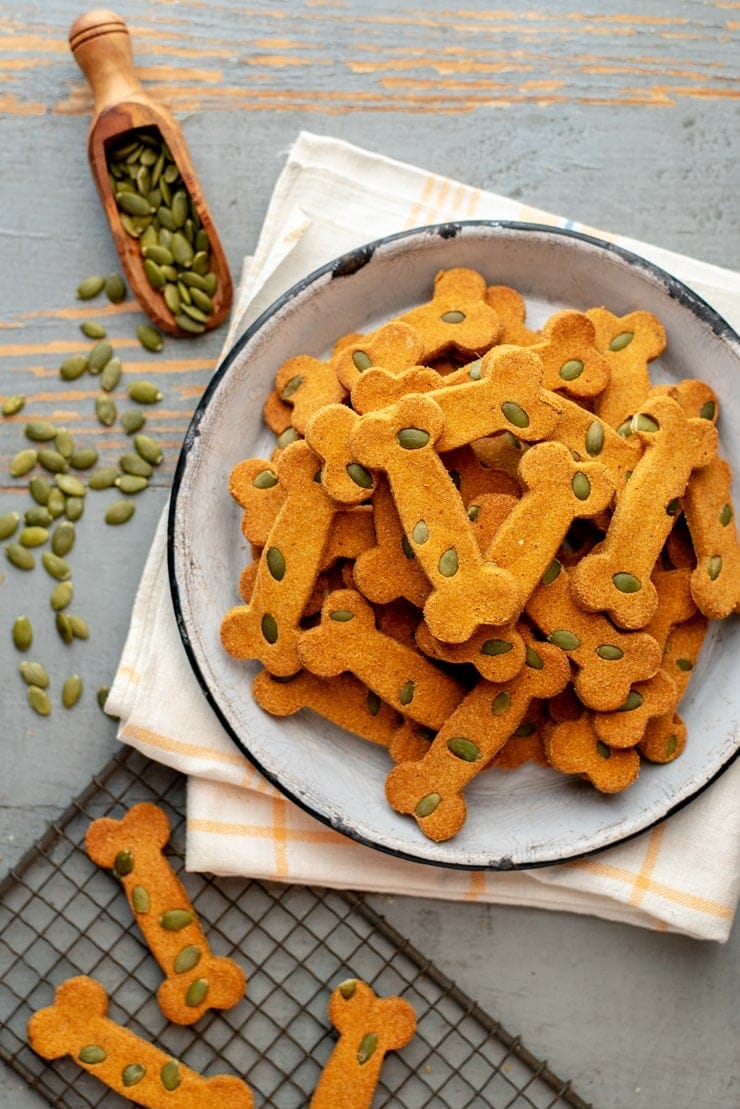 Pumpkin Spice Dog Treats (Bocce's Bakery Copycat) — Healthy, Crunchy & Vet-Approved 10 Pumpkin spice dog treats shaped like bones arranged on a rustic wooden board with a small pumpkin and cinnamon sticks for styling