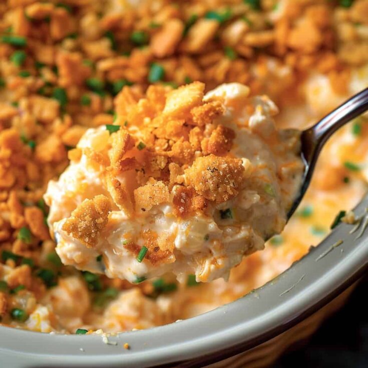 Overhead flat-lay of slow cooker million dollar chicken casserole ingredients — cream cheese block, can of cream of chicken soup, shredded rotisserie chicken, sour cream, chicken broth, and sleeve of Ritz crackers arranged on a marble surface
